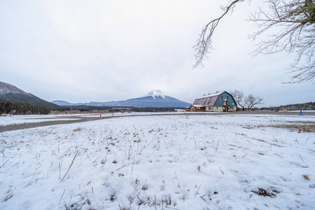 森林 树叶 院子 公园 公吨 日本 川口 火山 孤独的 冬天