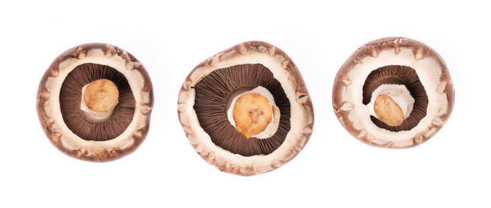 素食主义者 蘑菇 甜的 美味的 自然 饮食 牛肝菌 真菌