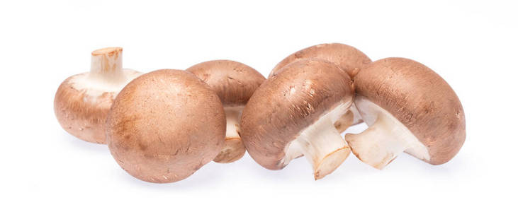 食物 美味的 牛肝菌 蘑菇 素食主义者 自然 植物 营养