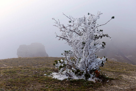 降雪 早晨 全景图 公园 天空 冬天 美女 季节 自然 风景