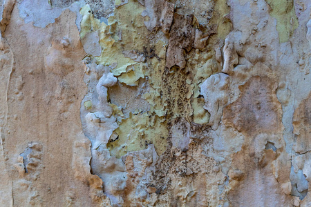 材料 纸张 剥皮 老年人 墙纸 混凝土 斯通 古老的 油漆