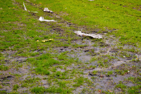 绿色生态观干净的绿色草地,到处都是垃圾和塑料袋.背景.纹理.