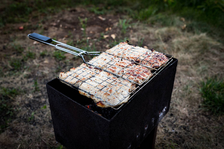木炭 花园 烤的 燃烧 烹饪 美味的 香料 野炊 聚会 烧烤