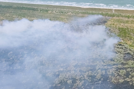 节约 轮廓 生活 火焰 风险 地面 植物 破坏 木材 热的