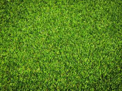 高尔夫球运动 草地 地毯 棒球 地面 空的 艺术品 草坪