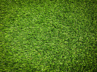 环境 生长 草皮 地毯 领域 足球 自然 颜色 地面 墙纸