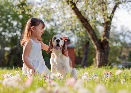 可爱极了 夏天 幸福 人类 白种人 可爱的 外部 小猎犬