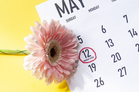 五月历上的母亲节图片