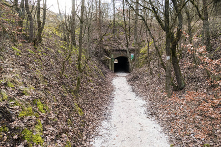 人行道 风景 轨道 步行 春天 美丽的 通路 建筑学 树叶