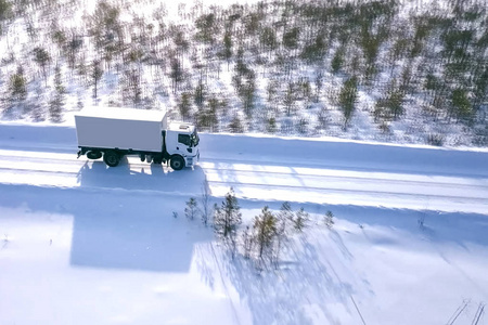 沥青 寒冷的 交通 司机 暴风雪 荷兰 松树 货物 国家