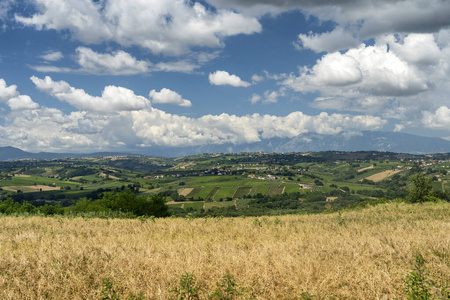 切蒂 植物 全景图 阿布鲁佐 意大利 领域 颜色 小山 风景