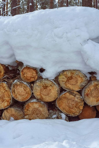 寒冷的冬日里堆着雪堆的柴火