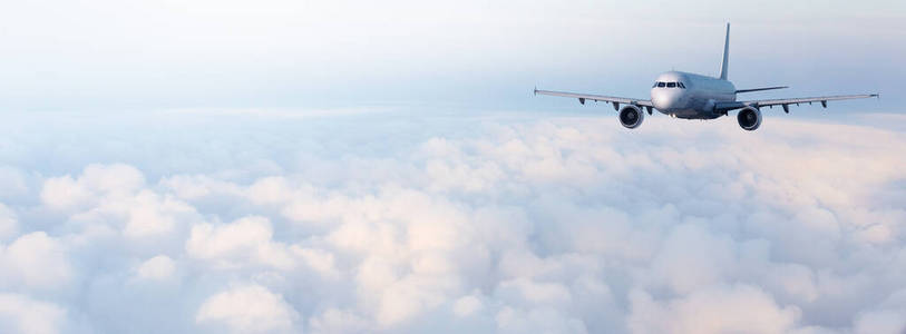 阳光 航班 乘客 着陆 航空公司 飞机 空气 高的 云景