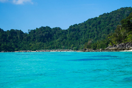 泰国 浮潜 旅游业 假期 波动 假日 梦想 海滨 海湾 森林