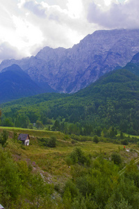 旅行 森林 小山 全景图 山谷 天空 风景 岩石 美丽的