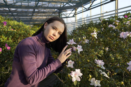 温室里的女人，杜鹃花