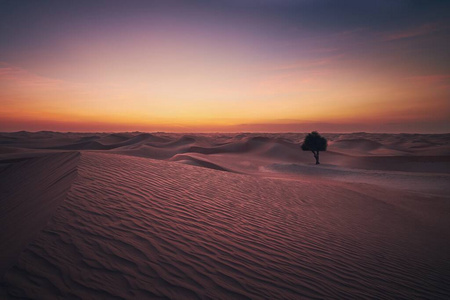 小山 孤独的 美丽的 自然 沙丘 阿联酋 干旱 遥远的 日出