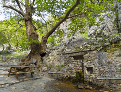 环境 希腊 供给 季节 岩石 木材 公园 旅游业 美丽的