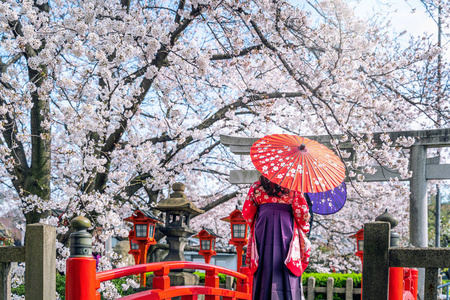 春天 自然 传统 旅行 微笑 日本人 女人 美丽的 花园