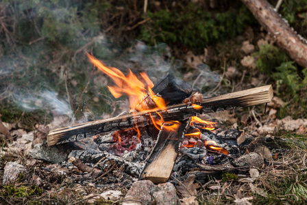 温暖的 燃烧 易燃 营地 木柴 烹饪 地狱 自然 能量 篝火