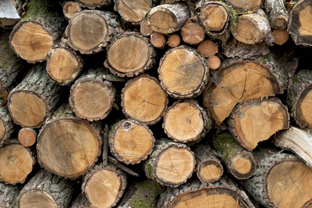 自然 材料 木柴 堆栈 木材 纹理 加热 日志 树干 燃料