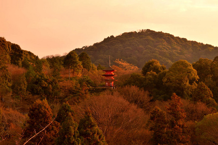 故事 建筑学 落下 自然 旅行 建筑 崇拜 历史的 文化