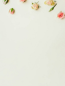 花朵极简背景粉黄色玫瑰花蕾图片