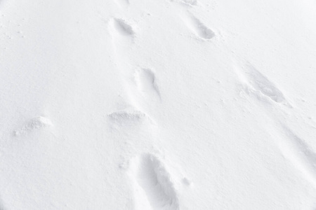 模式 冬天 地面 活动 纹理 步行 轨道 鞋类 方向 足迹