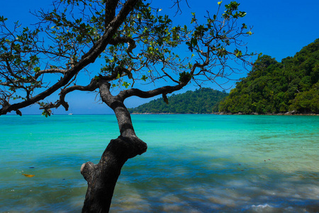 渔夫 海景 夏天 季节 日光 风景 美丽的 自然 梦想 泰国