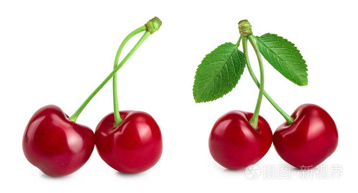 两个樱桃白色背景上的叶子特写是孤立的