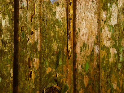 墙纸 纹理 家具 框架 自然 橡树 复古的 面板 古董 木工