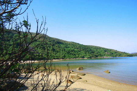 夏天 自然 美丽的 海湾 海岸 海景 海洋 海滩 风景 海岸线