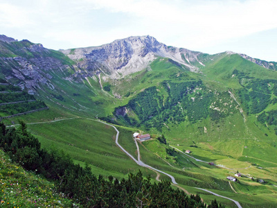 冒险 小山 岩石 阿尔卑斯山 荒野 风景 高的 全景图 森林