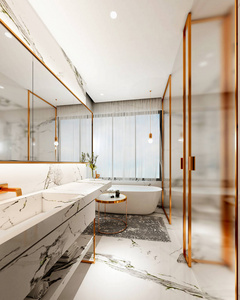 三维渲染 三维 窗口 公寓 瓦片 建筑学 房子 致使 浴室
