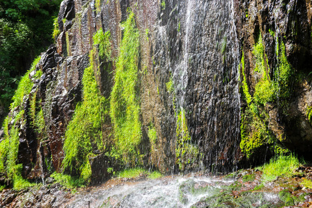 苔藓 公园 场景 徒步旅行 自然 旅行 瀑布 流动的 落下
