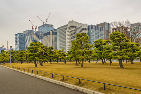 城市景观 公园 日本 旅游业 千代田 商业 建筑学 宫殿