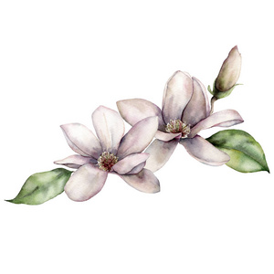 水彩花束与线艺术叶,芽和木兰花.白色背景上有独立花朵的手绘卡片.