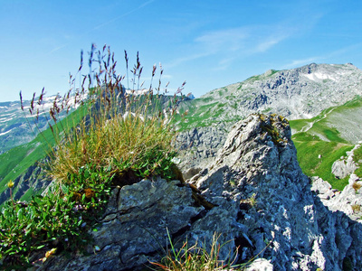 旅行 瑞士人 旅游业 荒野 天空 自然 徒步旅行 风景 攀登
