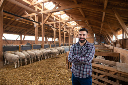 农场 乳制品 动物 畜牧业 农事 农业 微笑 照顾 男人