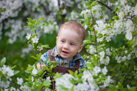 家庭 幸福 宝贝 水果 乐趣 男孩 花园 樱桃 盛开 快乐