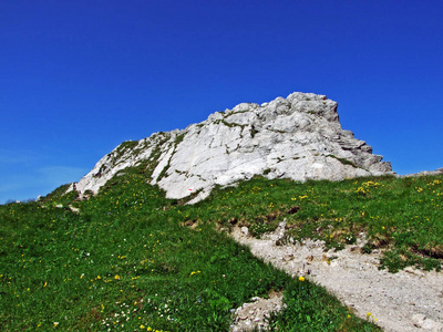 悬崖 阿尔卑斯山 全景图 自然 美丽的 冒险 山谷 环境