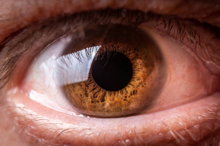 眼科 学生 颜色 人类 皮肤 眼球 视力 眼睛 美极了 白种人