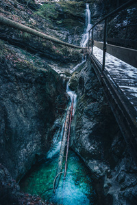 植物 旅行 美丽的 秋天 夏天 琅琅 公园 运动 流动 岩石