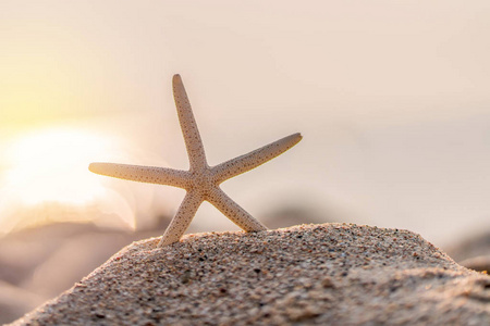 海滩 风景 场景 海洋 海星 梦想 美丽的 明星 自然 旅行