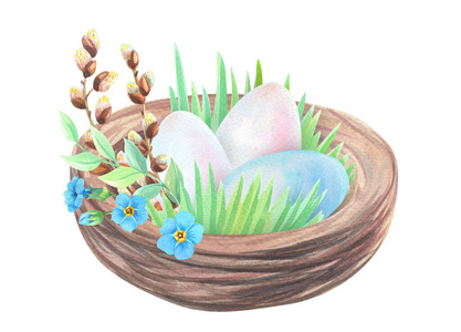 复活节彩蛋，柳树，水仙花，忘了我不是。复活节花卉插画