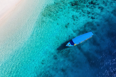 旅行 海洋 假期 夏天 珊瑚 海湾 印度尼西亚 泻湖 自然