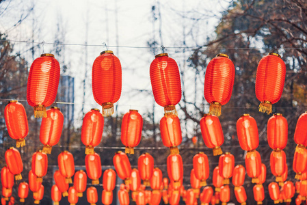 公园里挂着中国红灯笼图片