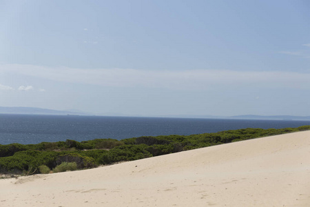 海滩 夏天 旅行 风景 澳大利亚 海洋 天空 海岸 海岸线