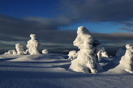 冰川 天空 海洋 冰山 冬天 美丽的 海湾 自然 旅行 熔化