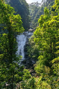 丛林 小溪 落下 假日 木材 森林 苔藓 泰国 国家的 风景